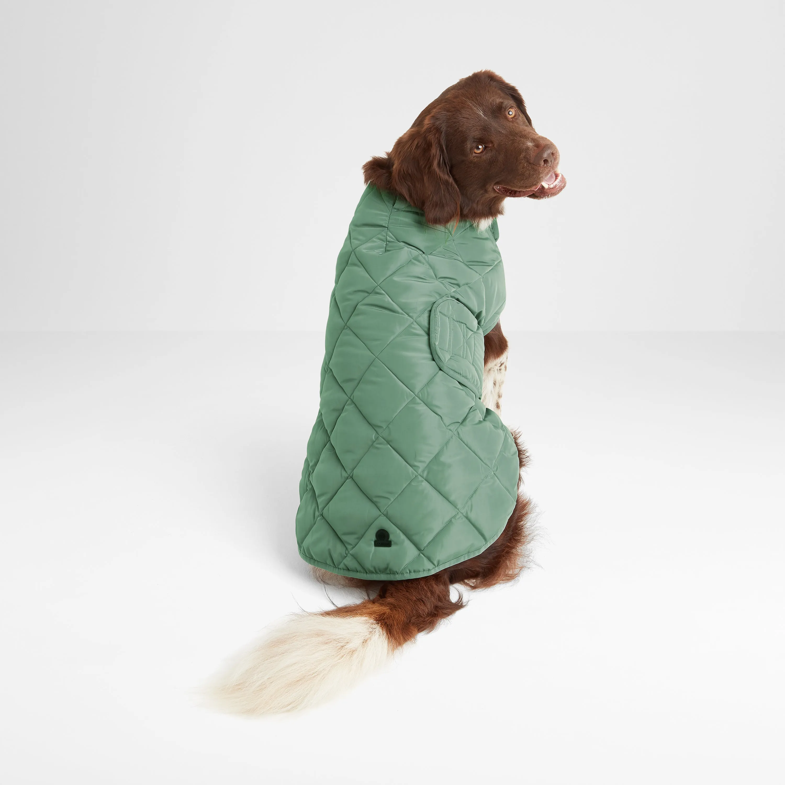 Fido Padded Dog Coat XL - Faded Khaki