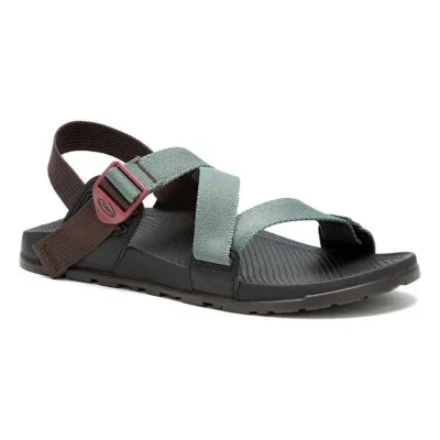 Men's Chaco Lowdown Water Sandals