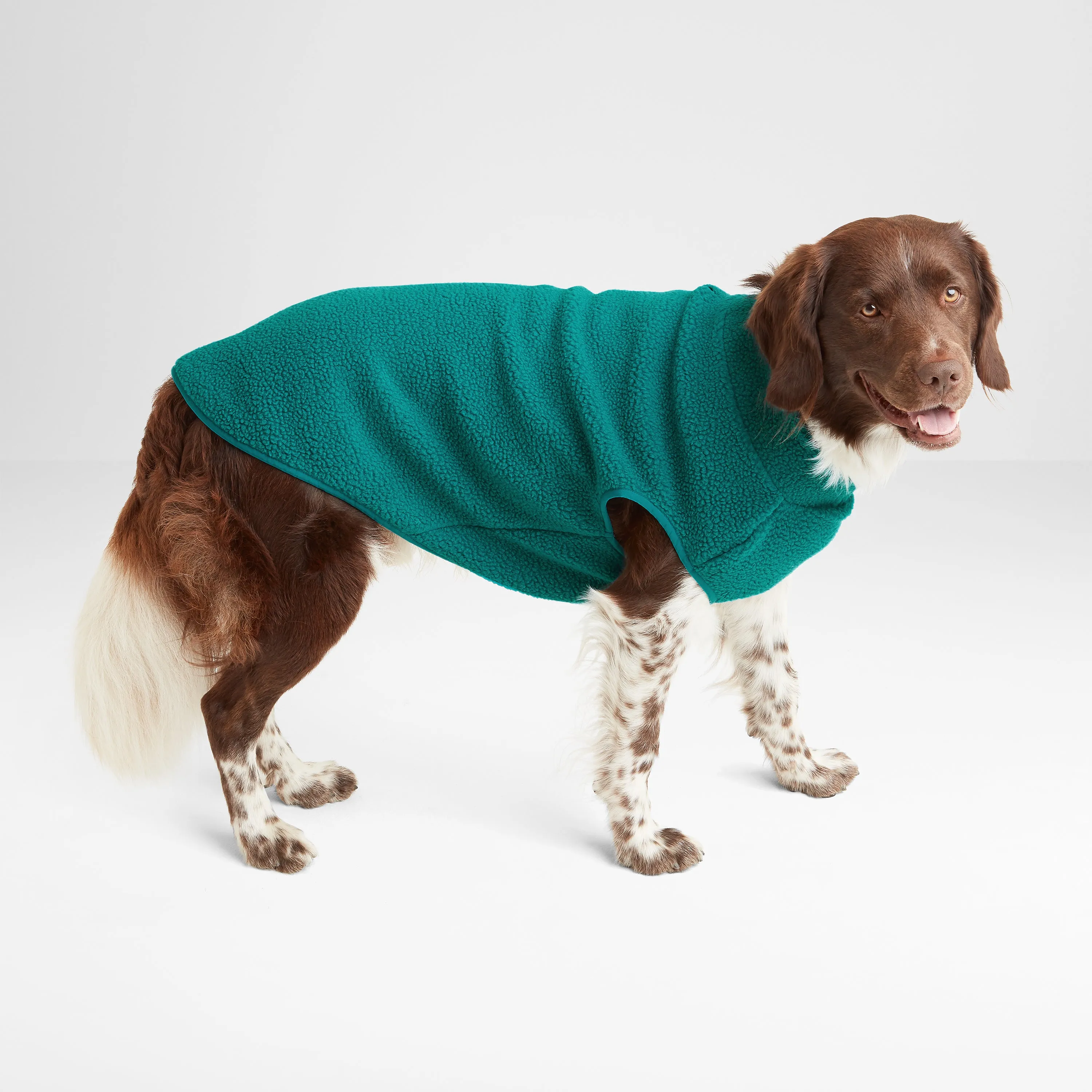 Rover Sherpa Dog Coat M - Teal