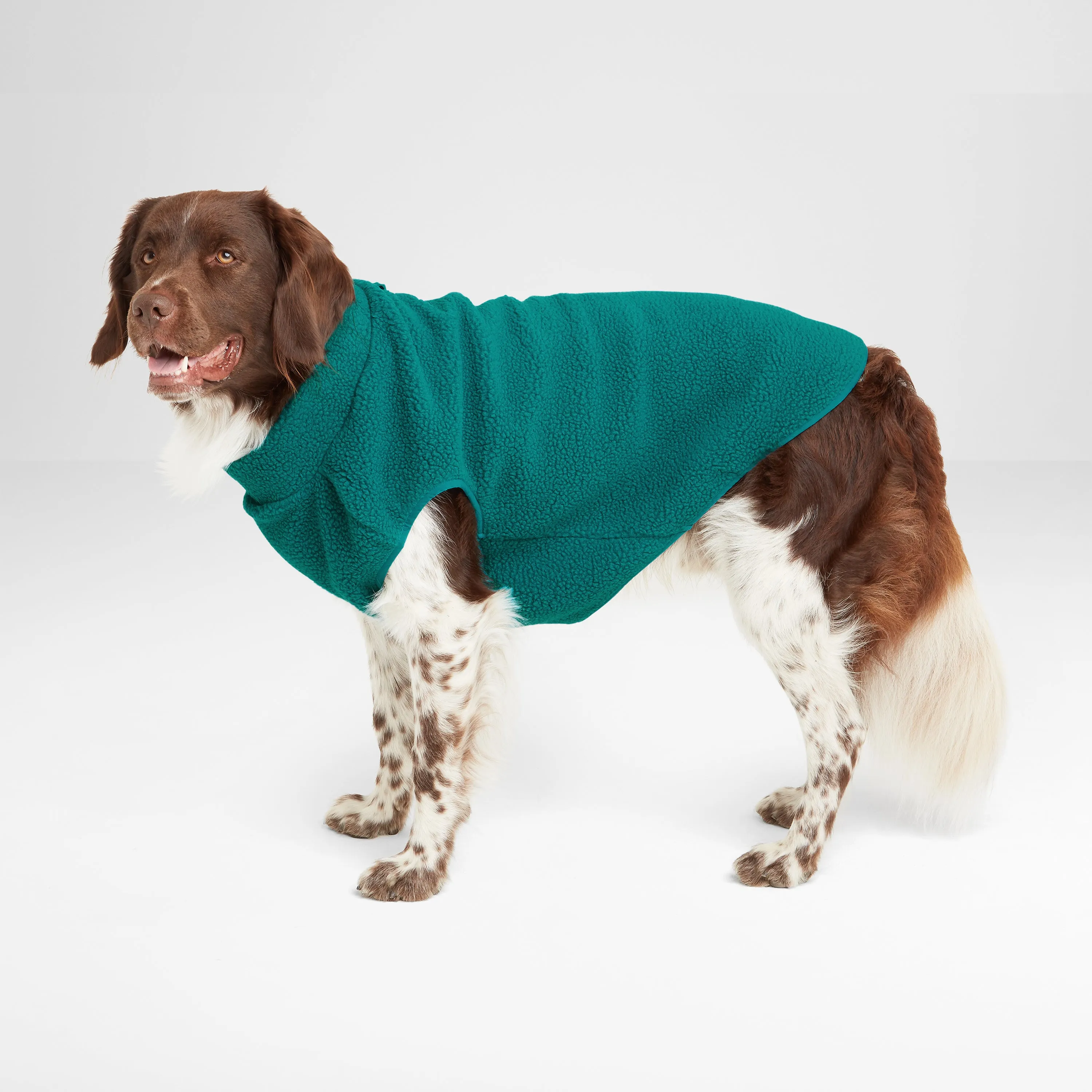 Rover Sherpa Dog Coat M - Teal