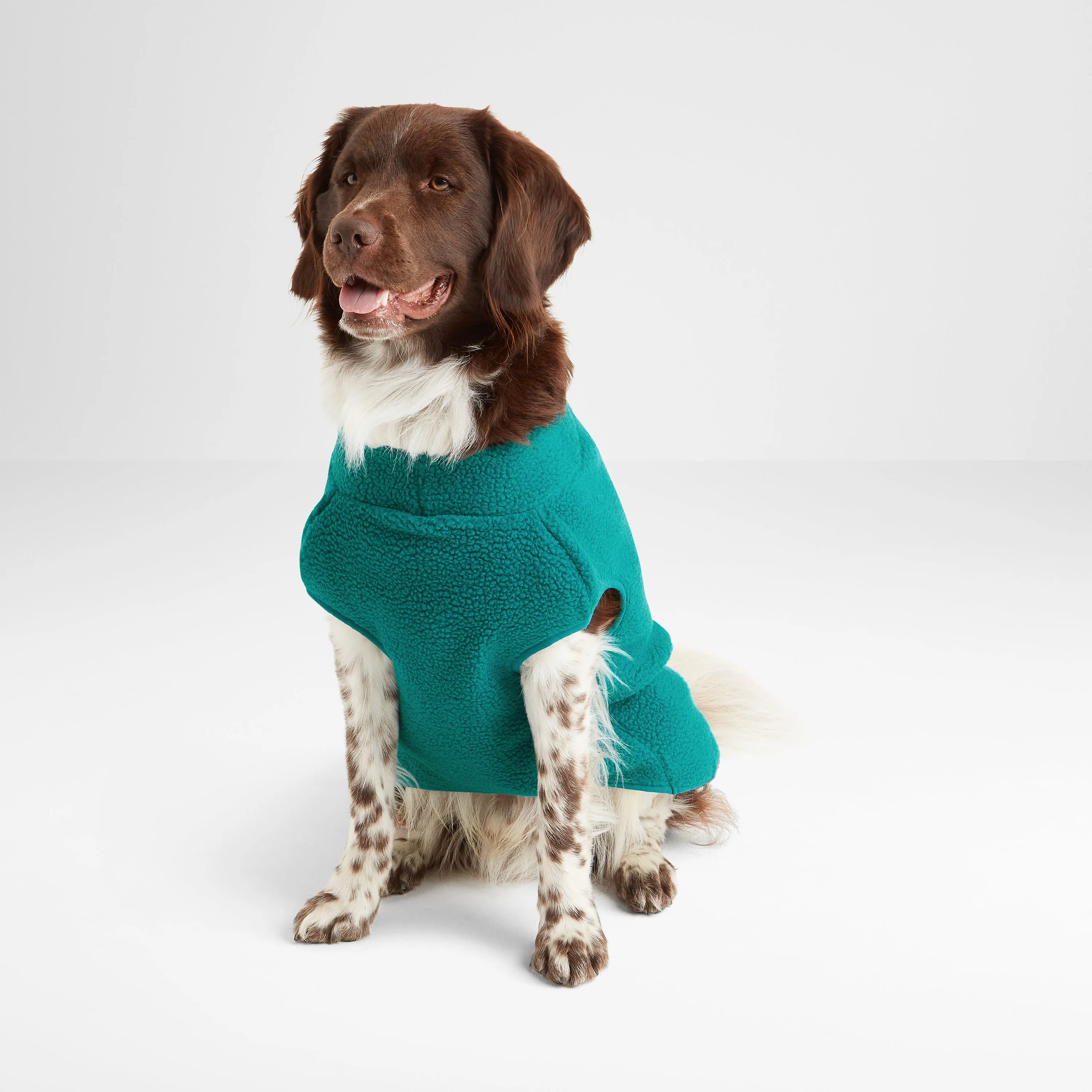 Rover Sherpa Dog Coat M - Teal