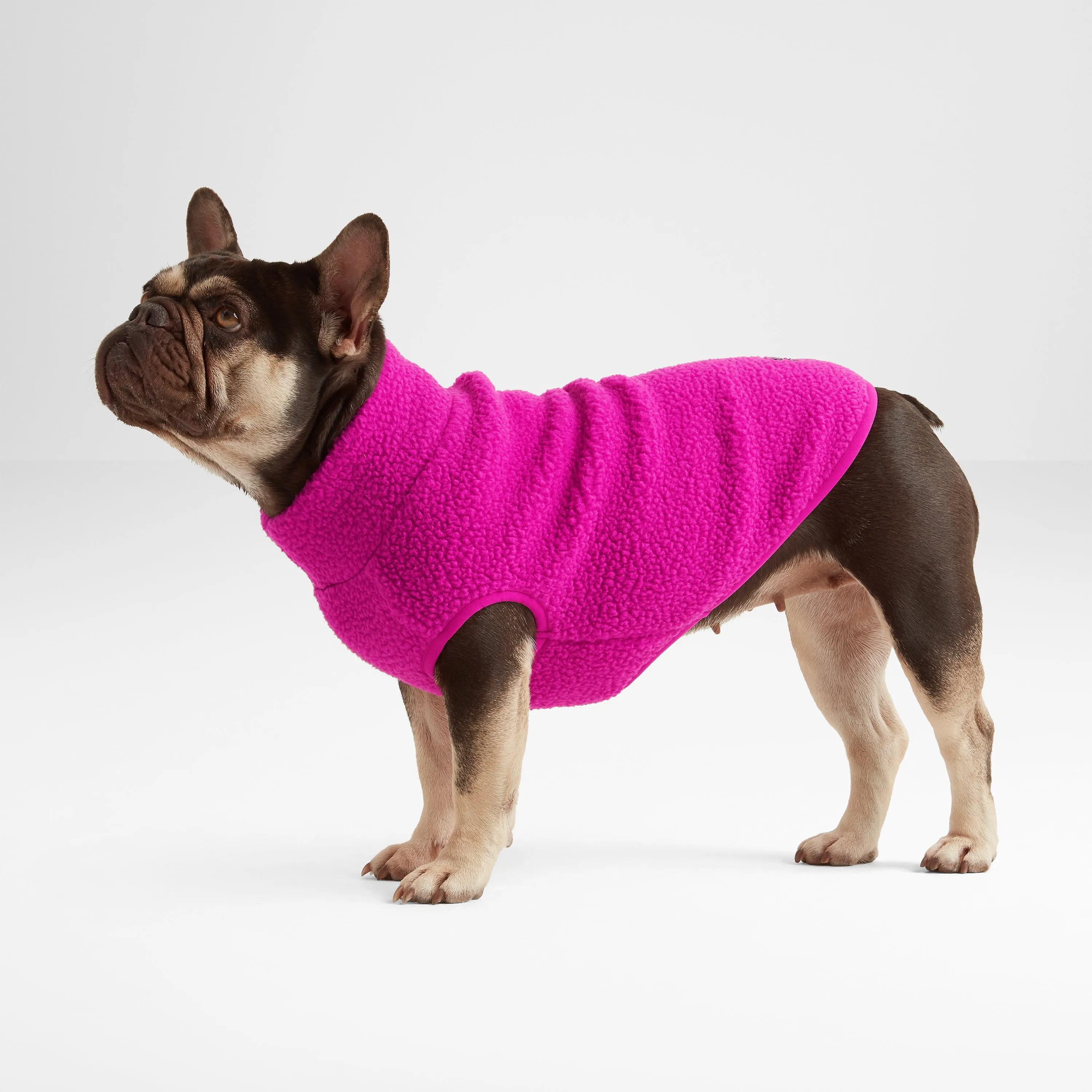 Rover Sherpa Dog Coat XS - Fuchsia Purple