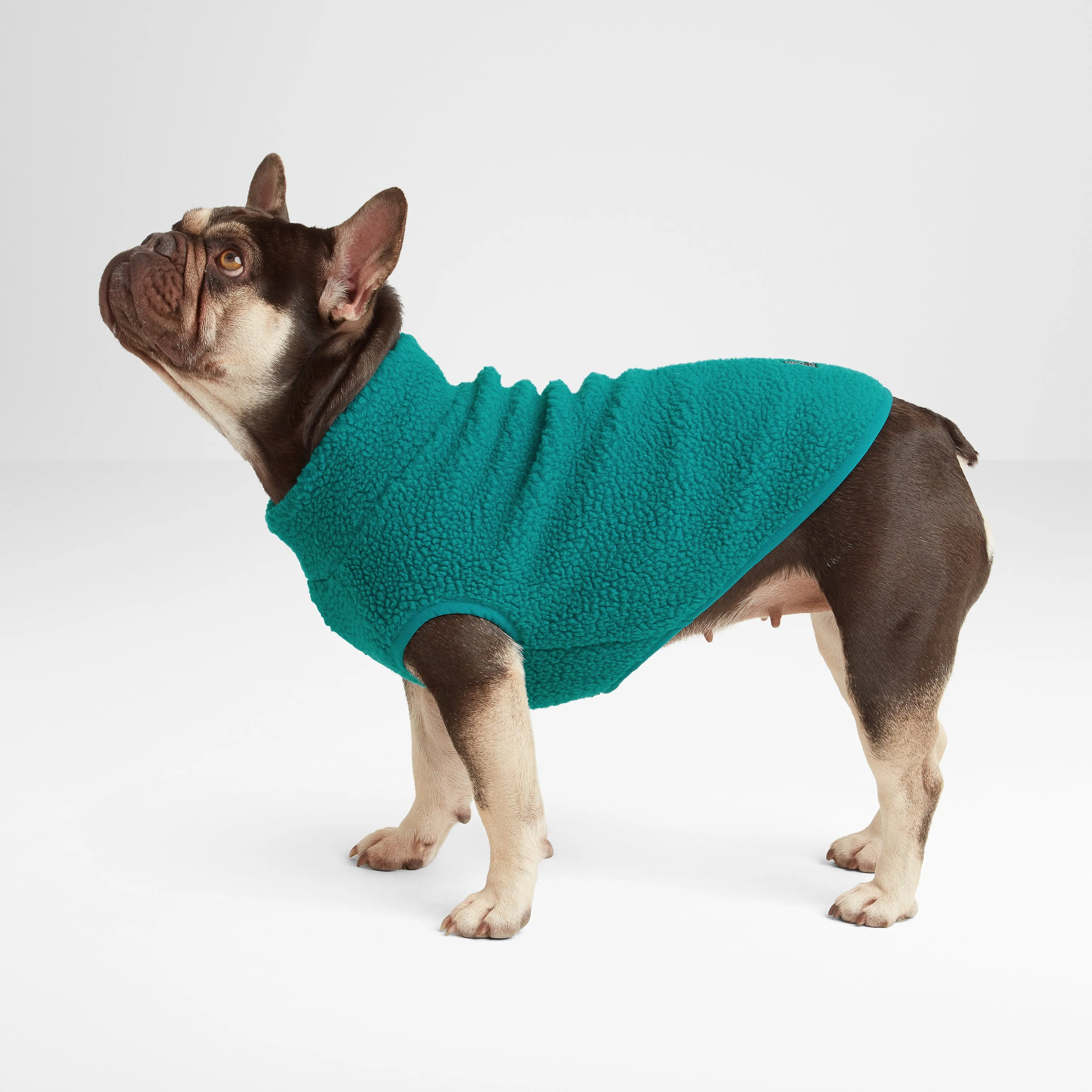 Rover Sherpa Dog Coat XS - Teal