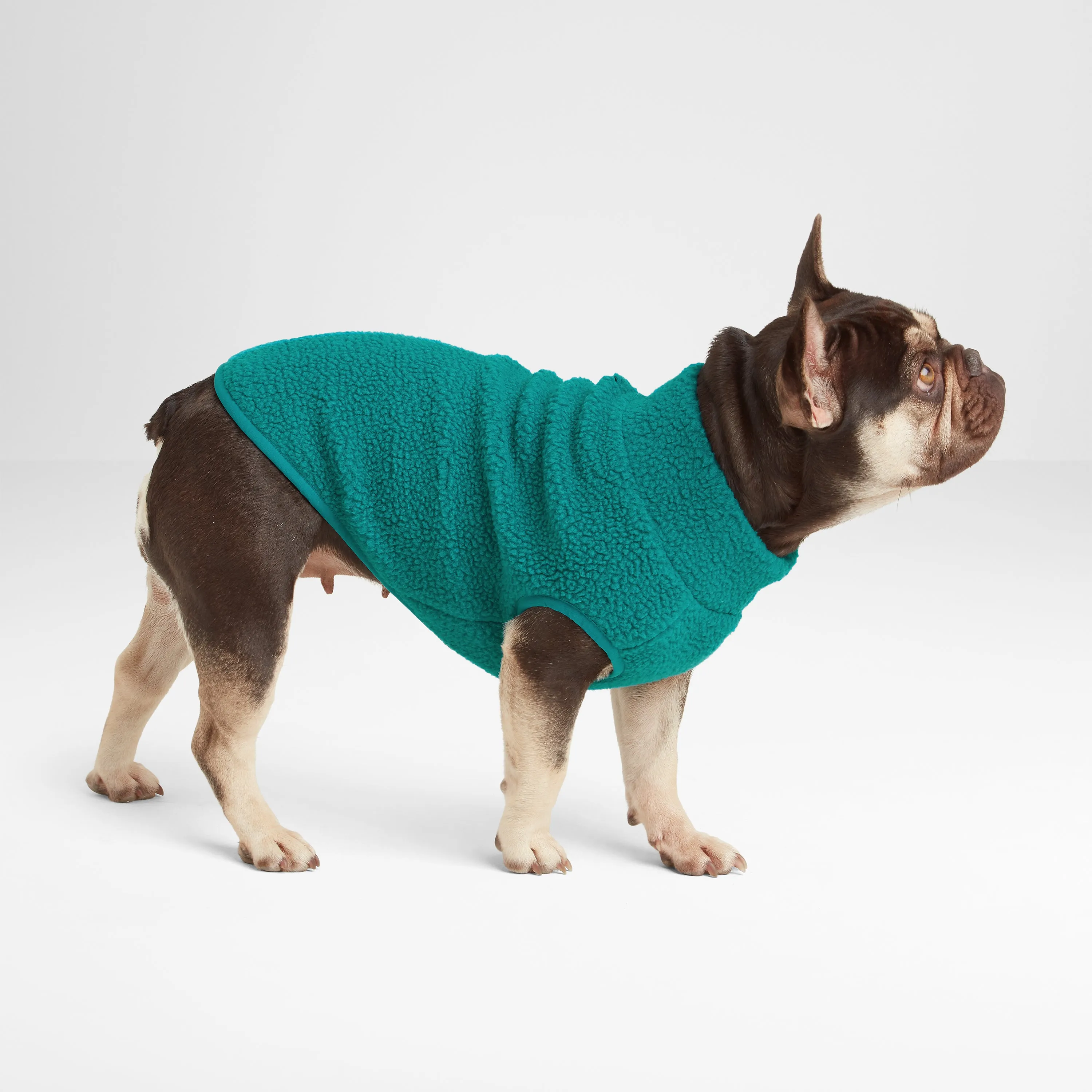 Rover Sherpa Dog Coat XS - Teal