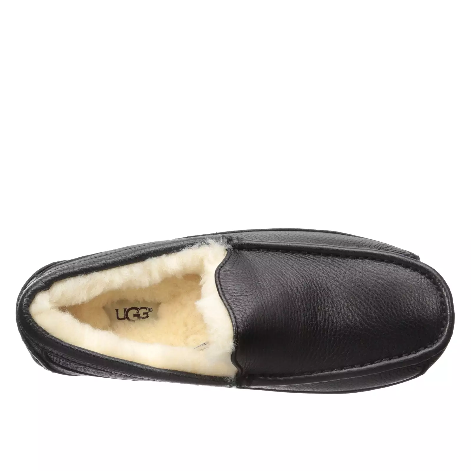 UGG Ascot 5379B (Black)